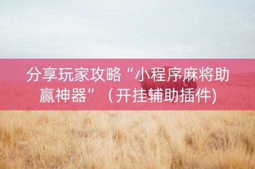 分享玩家攻略“小程序麻将助赢神器”（开挂辅助插件)