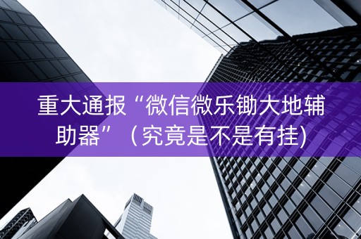 重大通报“微信微乐锄大地辅助器”（究竟是不是有挂)