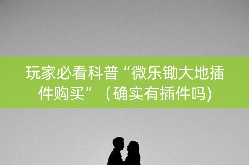 玩家必看科普“微乐锄大地插件购买”（确实有插件吗)