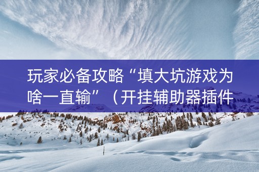 玩家必备攻略“填大坑游戏为啥一直输”（开挂辅助器插件)