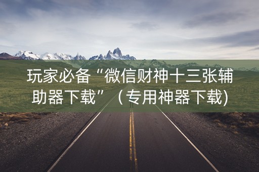 玩家必备“微信财神十三张辅助器下载”（专用神器下载)
