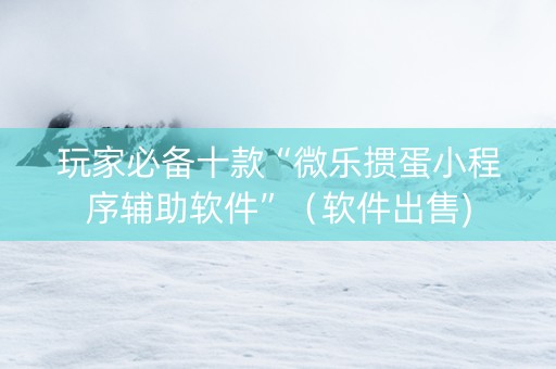 玩家必备十款“微乐掼蛋小程序辅助软件”（软件出售)