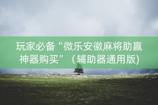 玩家必备“微乐安徽麻将助赢神器购买”（辅助器通用版)