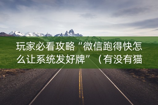 玩家必看攻略“微信跑得快怎么让系统发好牌”（有没有猫腻)