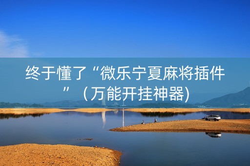 终于懂了“微乐宁夏麻将插件”（万能开挂神器)