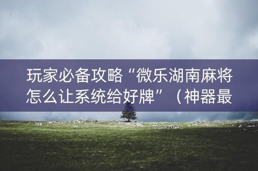 玩家必备攻略“微乐湖南麻将怎么让系统给好牌”（神器最新免费)