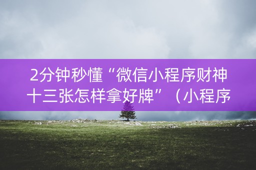 2分钟秒懂“微信小程序财神十三张怎样拿好牌”（小程序控牌器)