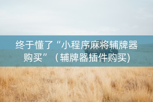 终于懂了“小程序麻将辅牌器购买”（辅牌器插件购买)