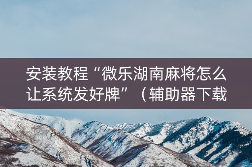 安装教程“微乐湖南麻将怎么让系统发好牌”（辅助器下载)