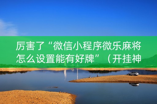 厉害了“微信小程序微乐麻将怎么设置能有好牌”（开挂神器下载)