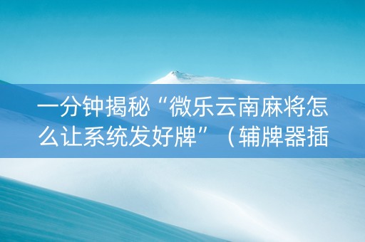 一分钟揭秘“微乐云南麻将怎么让系统发好牌”（辅牌器插件购买)
