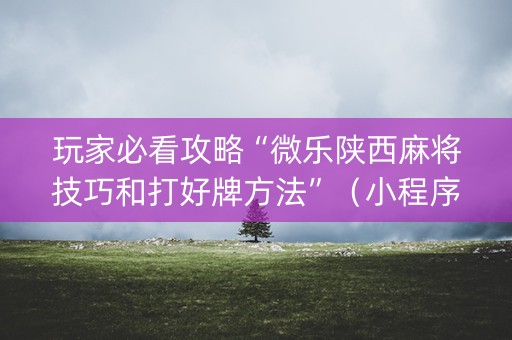 玩家必看攻略“微乐陕西麻将技巧和打好牌方法”（小程序辅助软件)