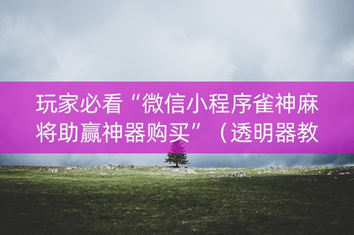 玩家必看“微信小程序雀神麻将助赢神器购买”（透明器教程)