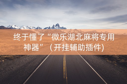 终于懂了“微乐湖北麻将专用神器”（开挂辅助插件)