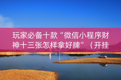 玩家必备十款“微信小程序财神十三张怎样拿好牌”（开挂辅助器插件)