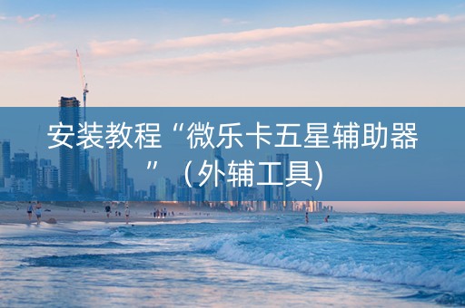 安装教程“微乐卡五星辅助器”（外辅工具)