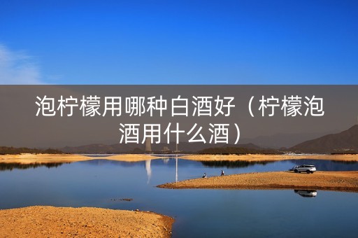 泡柠檬用哪种白酒好（柠檬泡酒用什么酒）