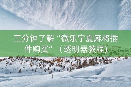 三分钟了解“微乐宁夏麻将插件购买”（透明器教程)