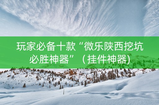 玩家必备十款“微乐陕西挖坑必胜神器”（挂件神器)