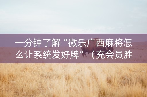 一分钟了解“微乐广西麻将怎么让系统发好牌”（充会员胜率高)