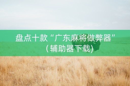 盘点十款“广东麻将做弊器”（辅助器下载)