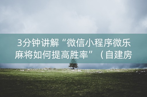 3分钟讲解“微信小程序微乐麻将如何提高胜率”（自建房怎么赢)