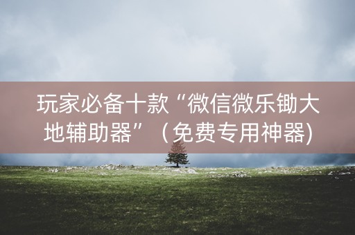 玩家必备十款“微信微乐锄大地辅助器”（免费专用神器)