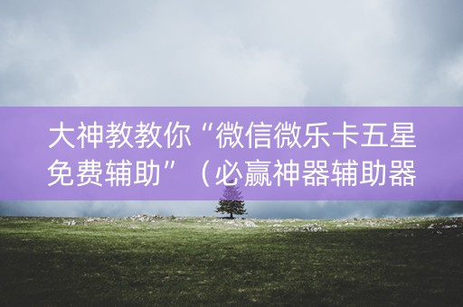 大神教教你“微信微乐卡五星免费辅助”（必赢神器辅助器)