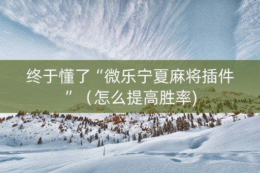 终于懂了“微乐宁夏麻将插件”（怎么提高胜率)
