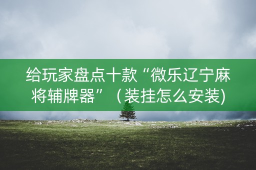 给玩家盘点十款“微乐辽宁麻将辅牌器”（装挂怎么安装)