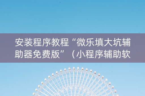 安装程序教程“微乐填大坑辅助器免费版”（小程序辅助软件)