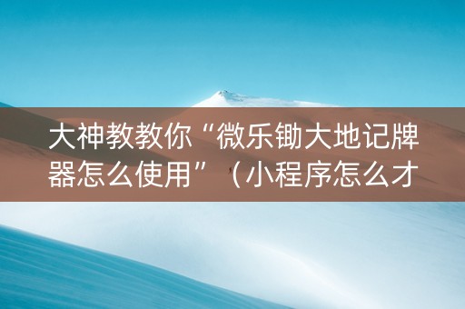 大神教教你“微乐锄大地记牌器怎么使用”（小程序怎么才会赢)