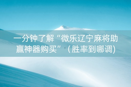 一分钟了解“微乐辽宁麻将助赢神器购买”（胜率到哪调)