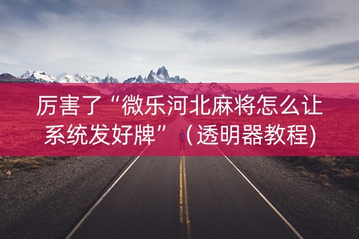 厉害了“微乐河北麻将怎么让系统发好牌”（透明器教程)