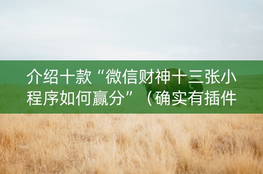 介绍十款“微信财神十三张小程序如何赢分”（确实有插件吗)