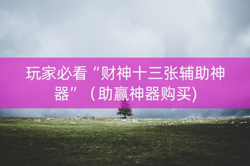 玩家必看“财神十三张辅助神器”（助赢神器购买)