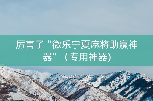 厉害了“微乐宁夏麻将助赢神器”（专用神器)