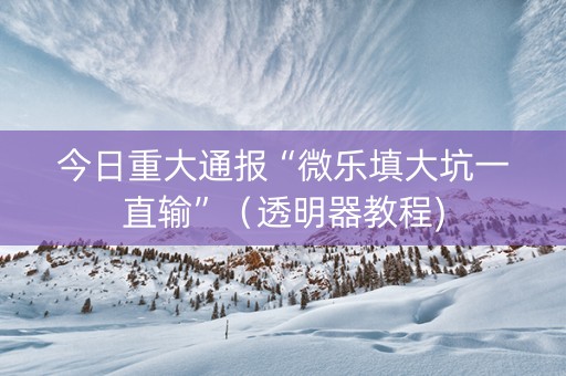 今日重大通报“微乐填大坑一直输”（透明器教程)