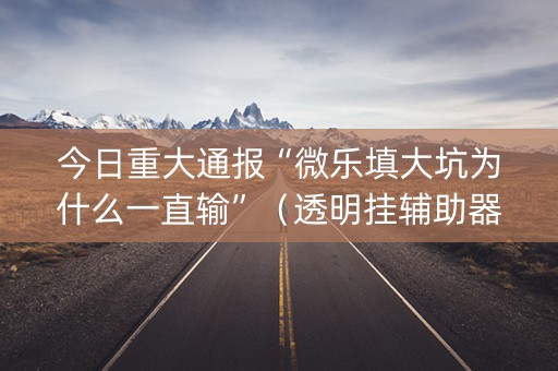 今日重大通报“微乐填大坑为什么一直输”（透明挂辅助器)