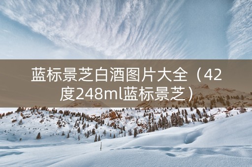 蓝标景芝白酒图片大全（42度248ml蓝标景芝）