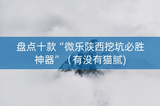 盘点十款“微乐陕西挖坑必胜神器”（有没有猫腻)