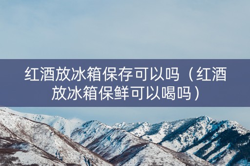 红酒放冰箱保存可以吗（红酒放冰箱保鲜可以喝吗）