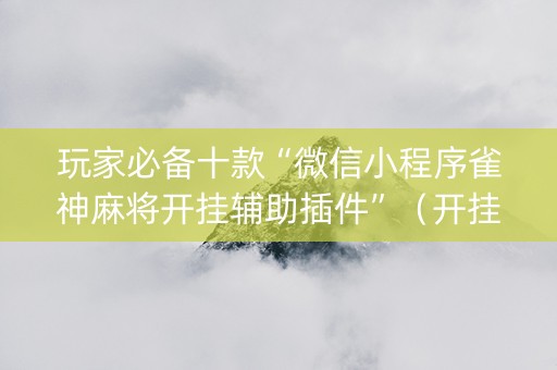 玩家必备十款“微信小程序雀神麻将开挂辅助插件”（开挂辅助插件)