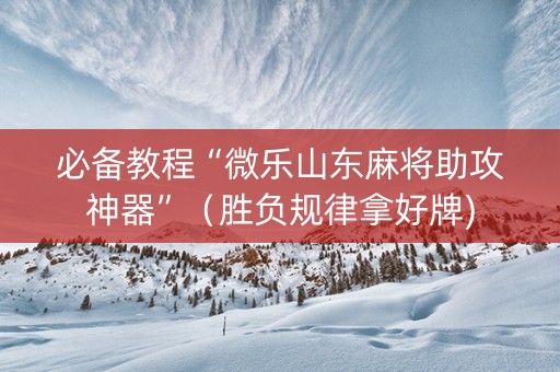 必备教程“微乐山东麻将助攻神器”（胜负规律拿好牌)