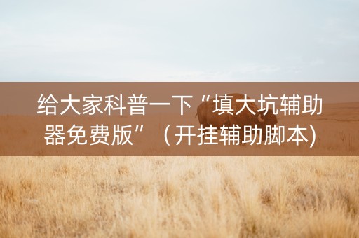 给大家科普一下“填大坑辅助器免费版”（开挂辅助脚本)