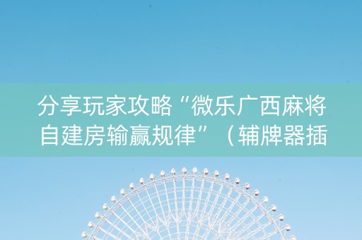 分享玩家攻略“微乐广西麻将自建房输赢规律”（辅牌器插件购买)