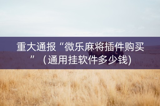 重大通报“微乐麻将插件购买”（通用挂软件多少钱)