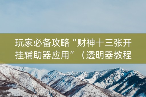 玩家必备攻略“财神十三张开挂辅助器应用”（透明器教程)