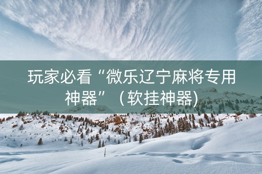 玩家必看“微乐辽宁麻将专用神器”（软挂神器)