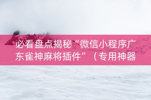必看盘点揭秘“微信小程序广东雀神麻将插件”（专用神器)